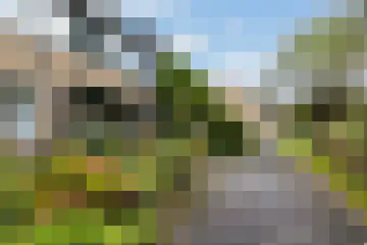 Hondsdraf 7 Leusden thumbnail 40