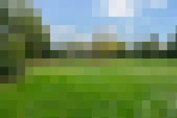 Hondsdraf 7 Leusden thumbnail 41