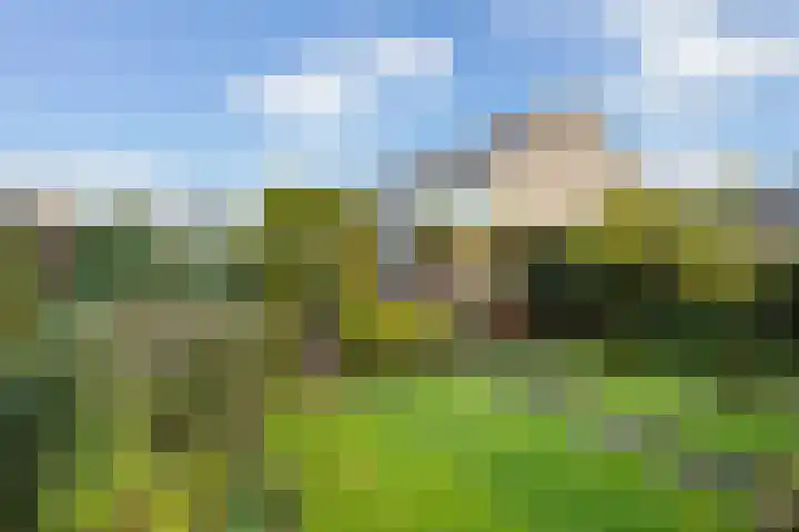 Hondsdraf 7 Leusden thumbnail 5