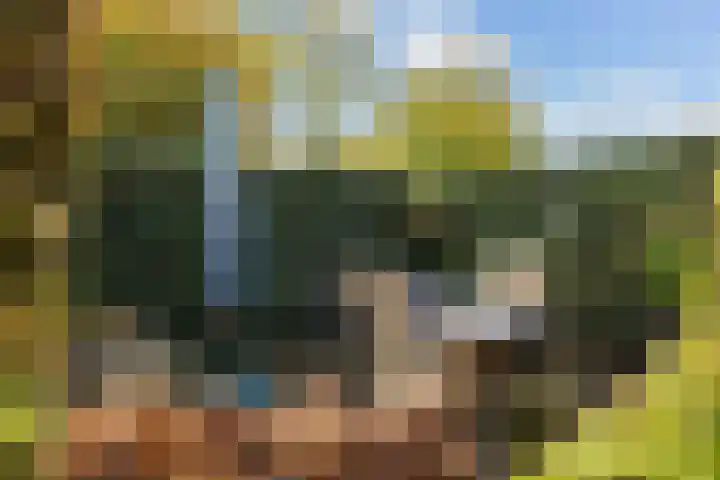 Hondsdraf 7 Leusden thumbnail 6