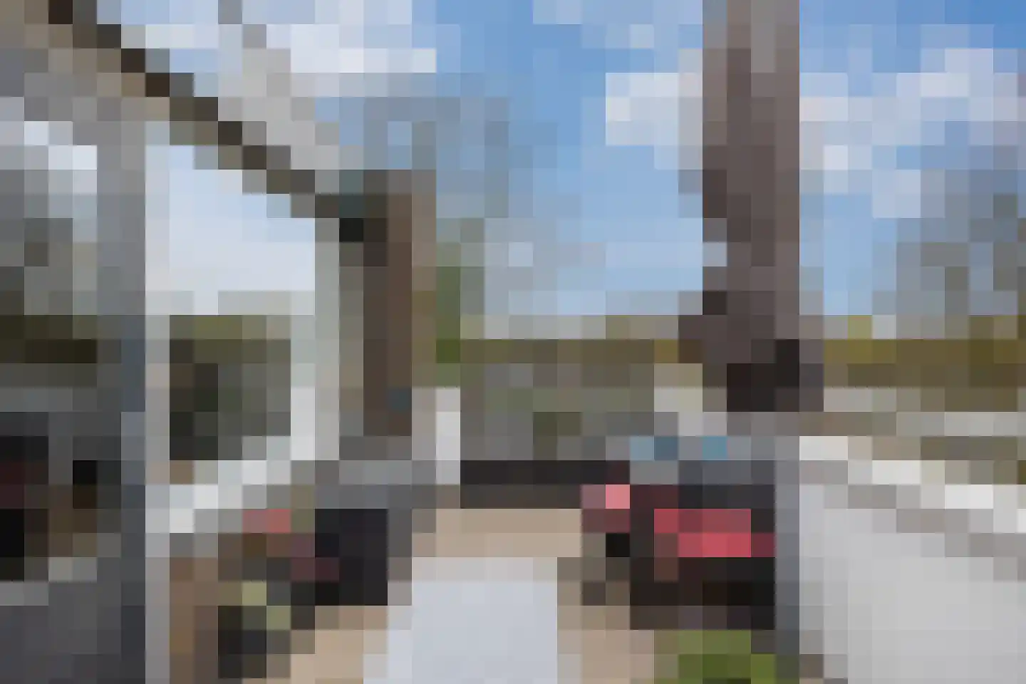 Hondsdraf 73 Leusden thumbnail 27