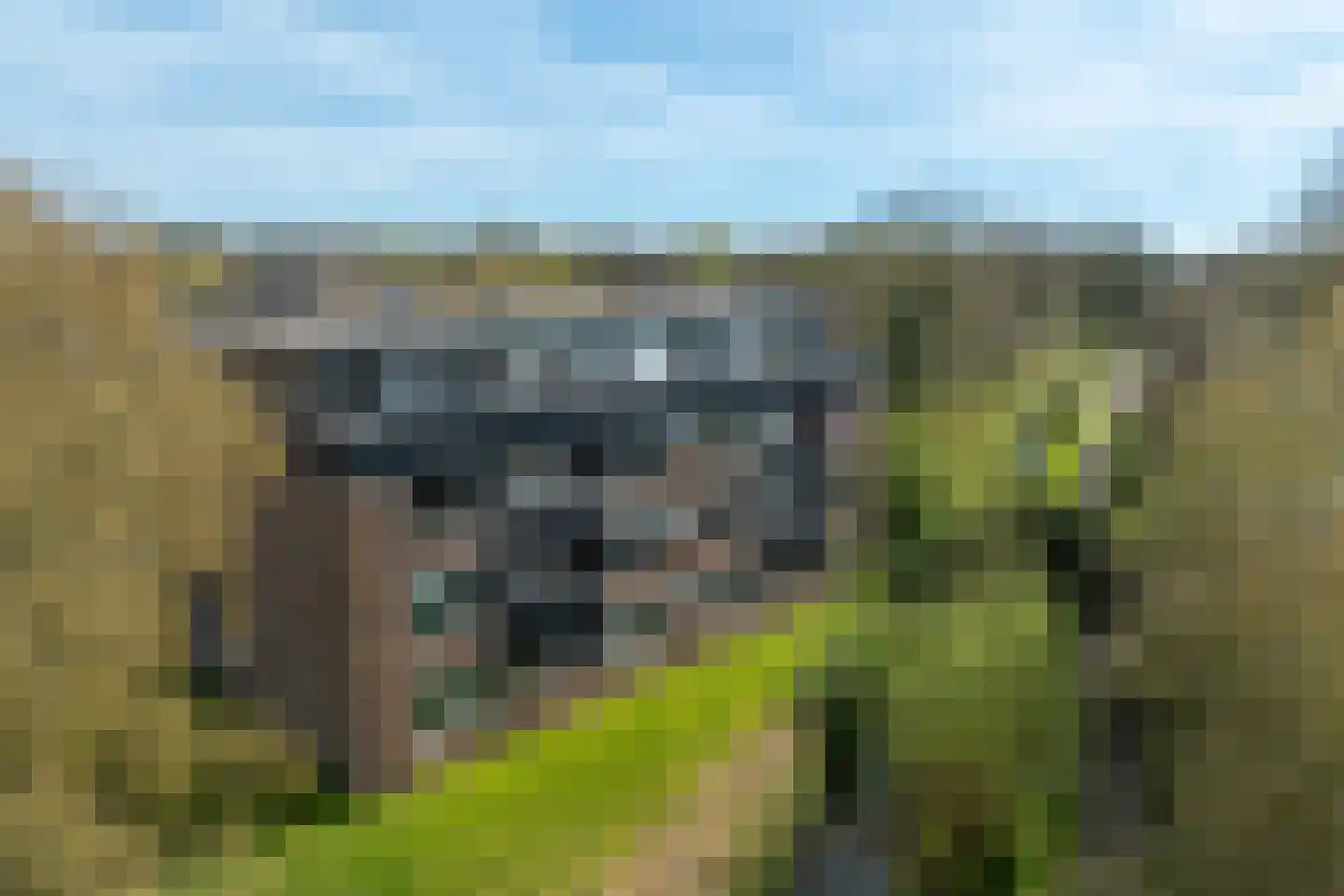 Hondsdraf 73 Leusden thumbnail 31