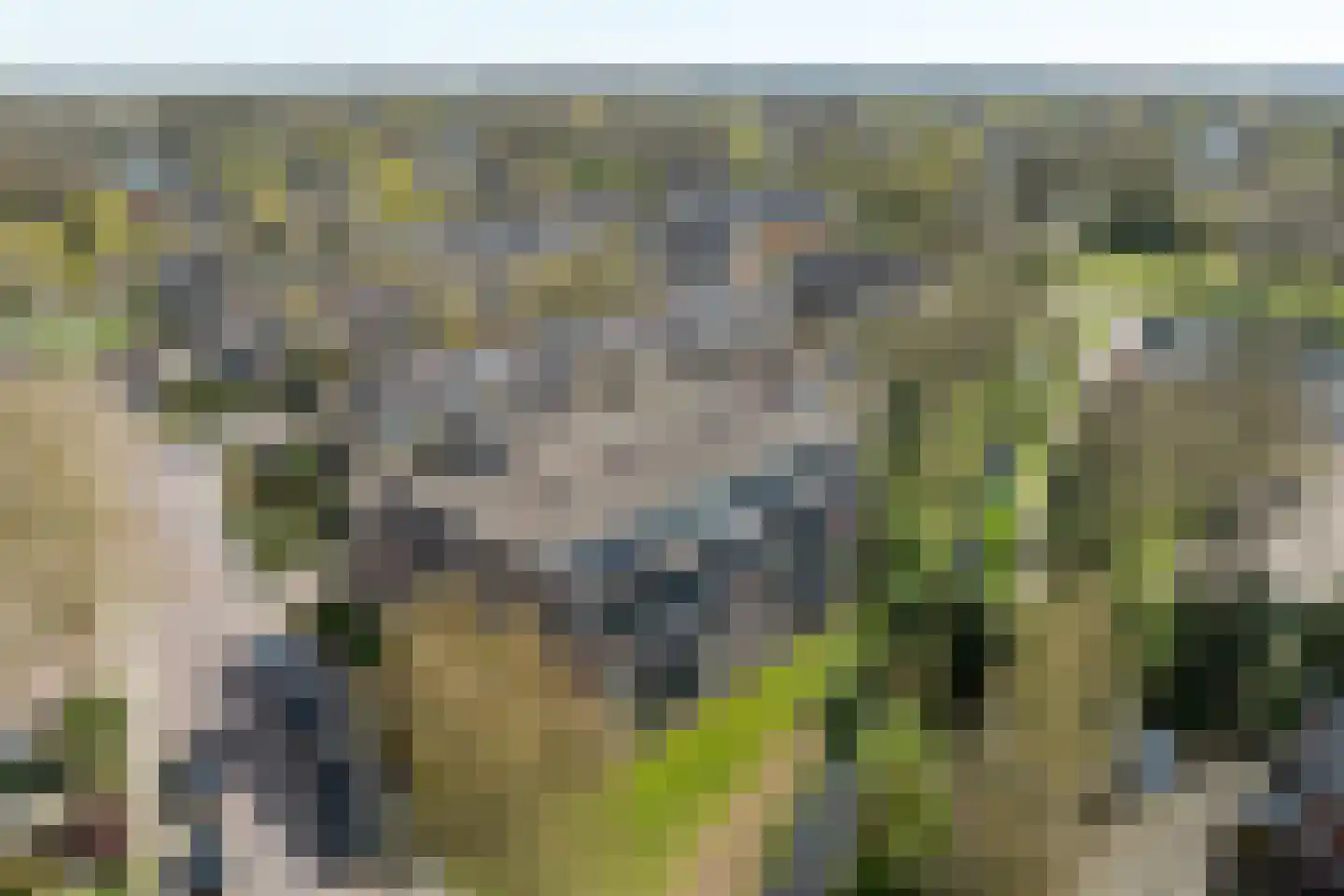 Hondsdraf 73 Leusden thumbnail 32