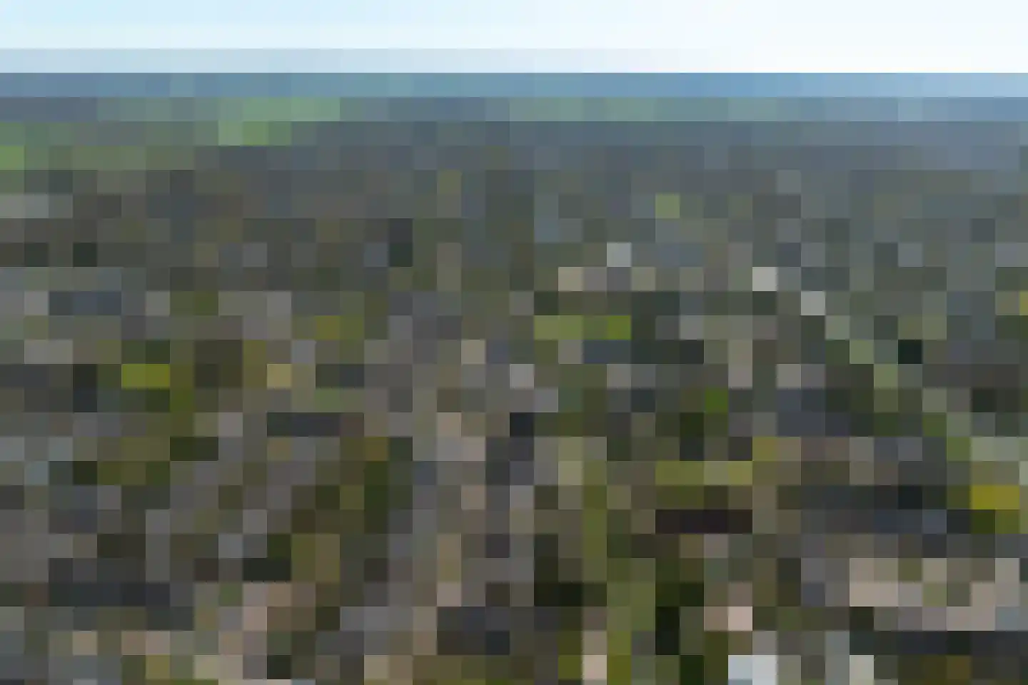 Hondsdraf 73 Leusden thumbnail 36