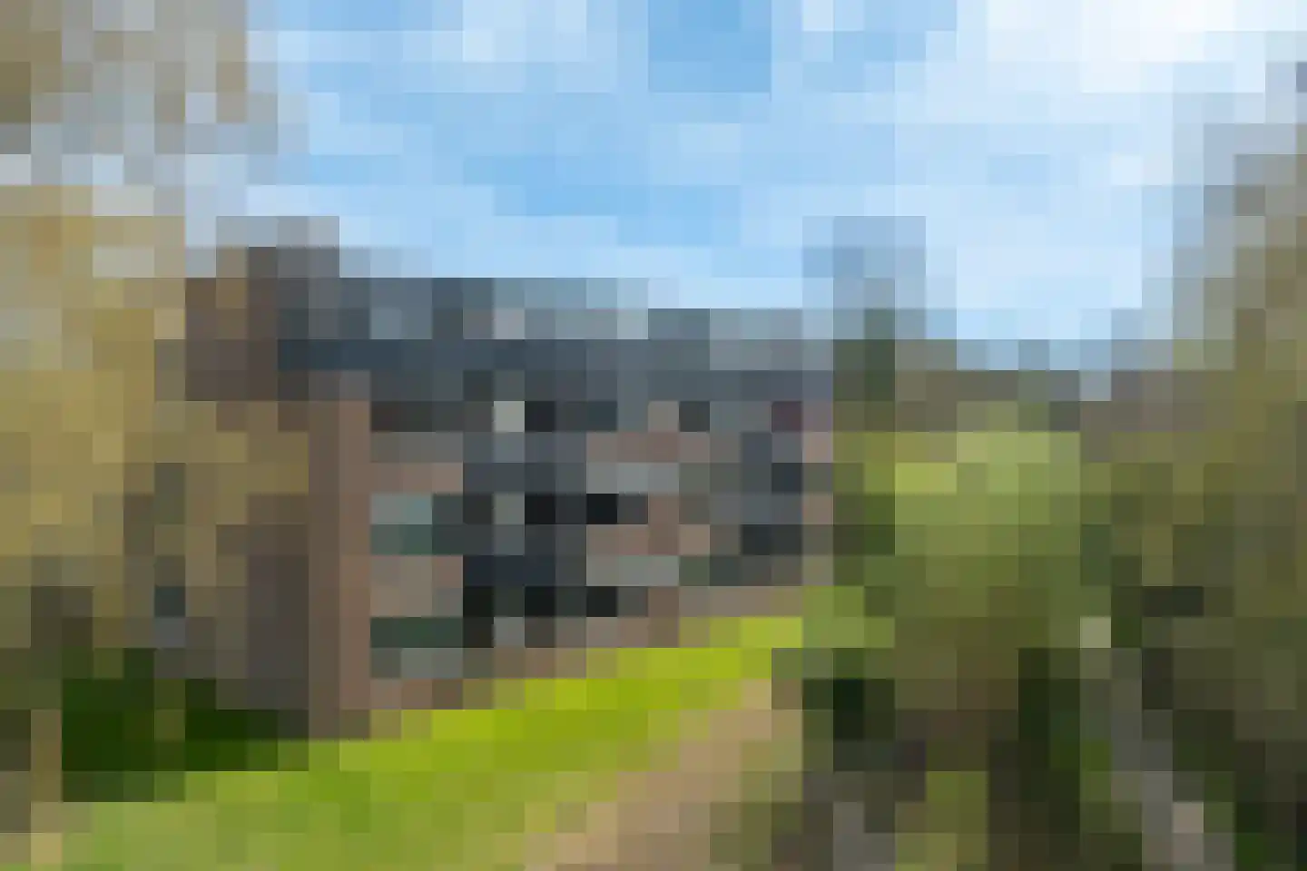 Hondsdraf 73 Leusden thumbnail 37