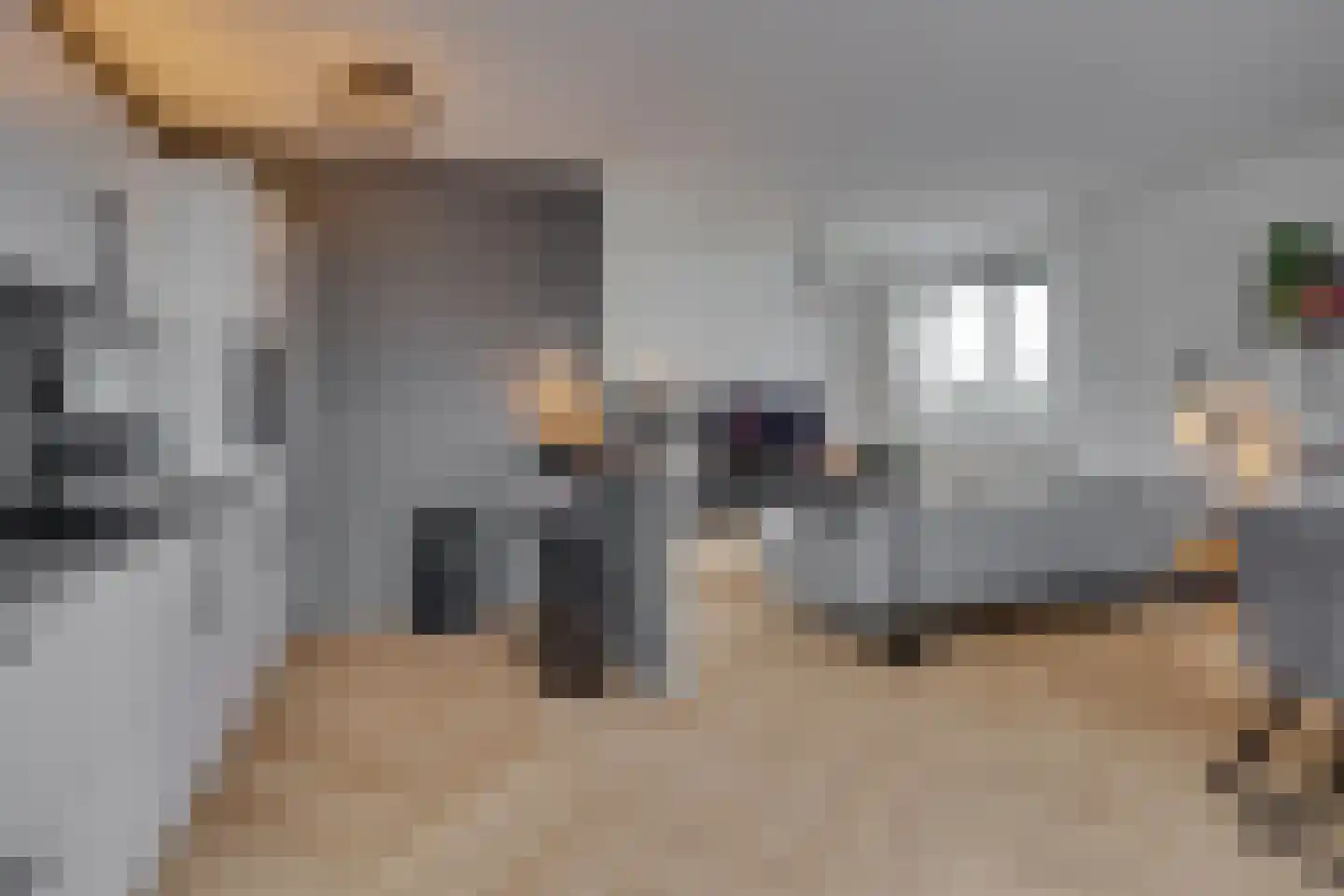 Hondsdraf 73 Leusden thumbnail 8