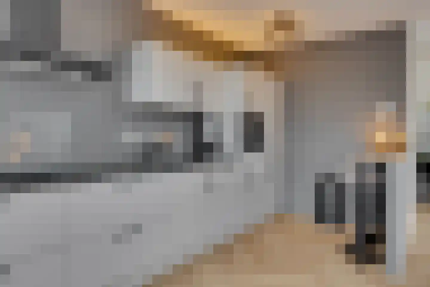 Hondsdraf 73 Leusden thumbnail 9
