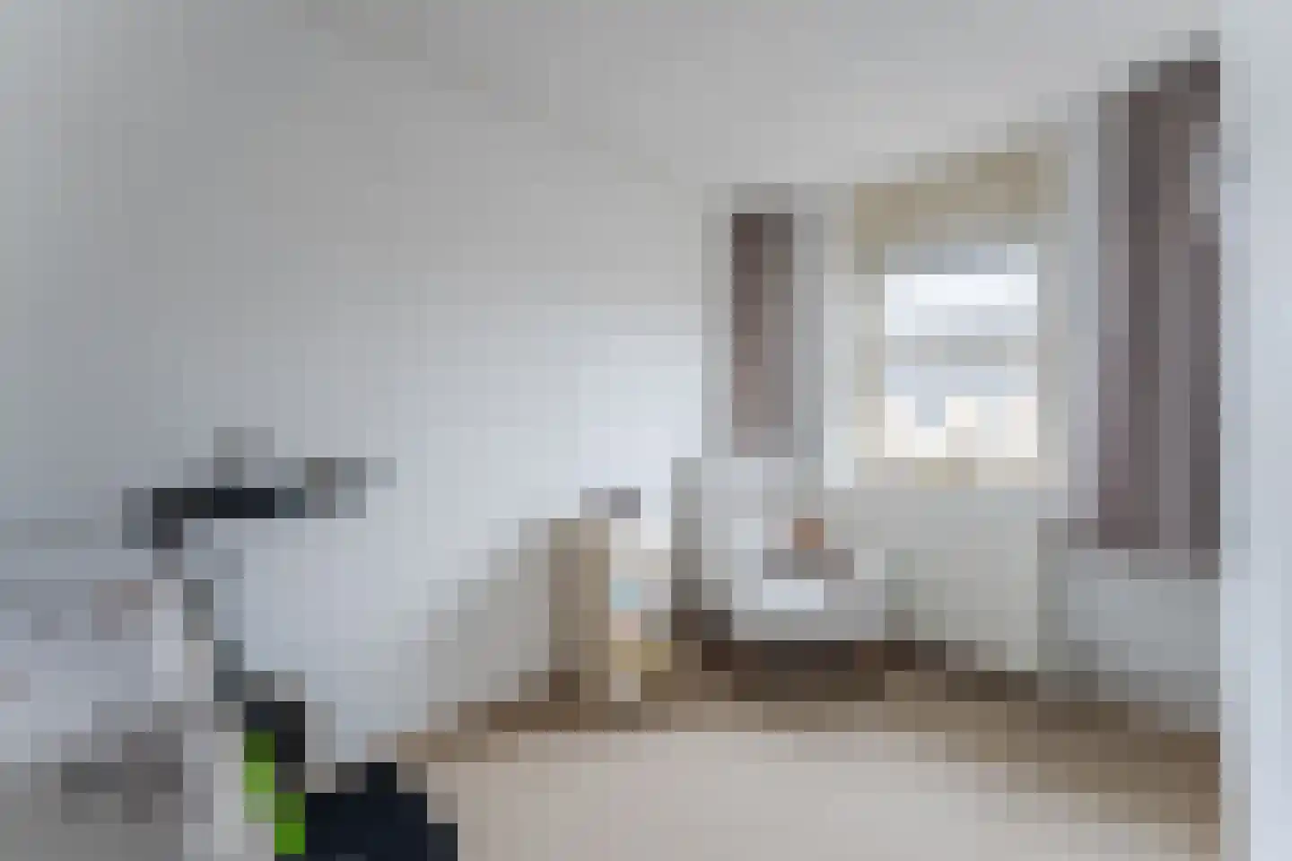 Hondsdraf 74 Swifterbant thumbnail 17