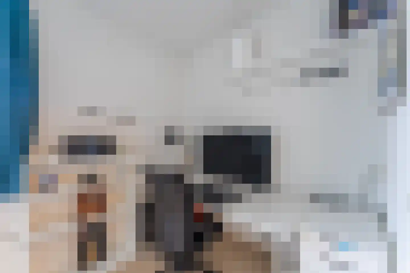 Hondsdraf 74 Swifterbant thumbnail 20