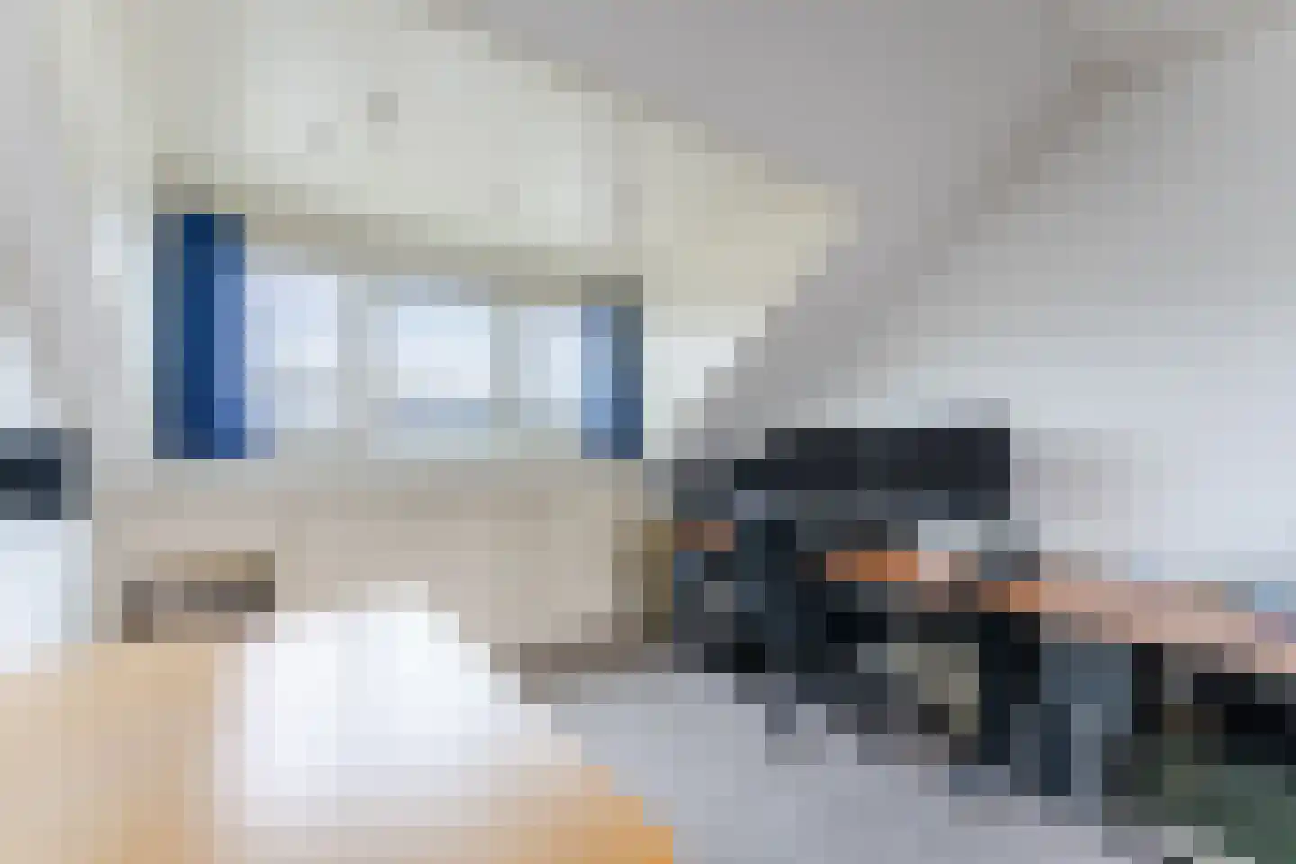 Hondsdraf 74 Swifterbant thumbnail 25