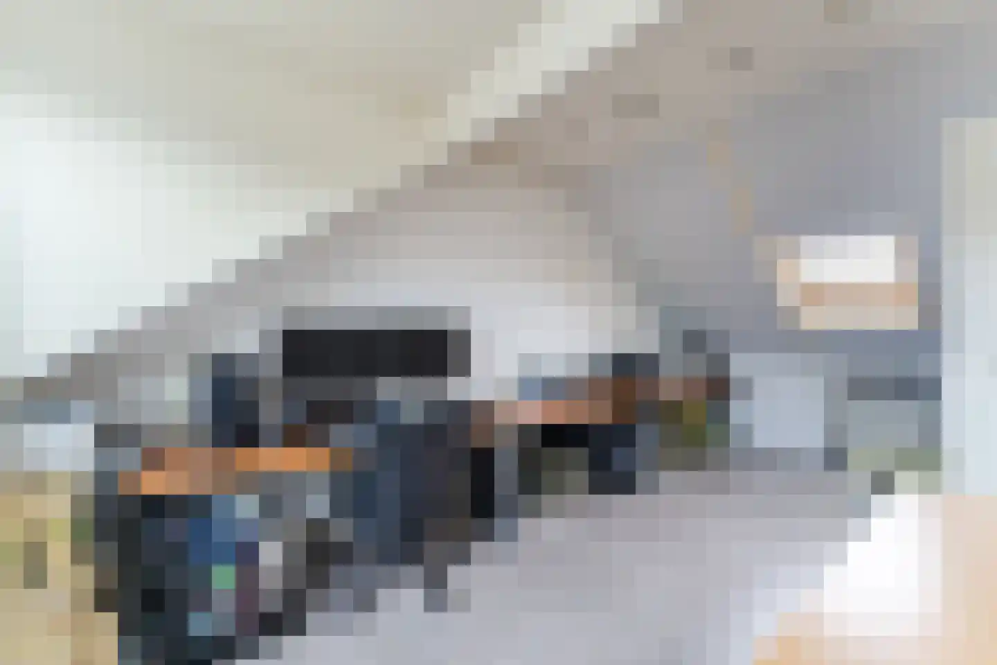 Hondsdraf 74 Swifterbant thumbnail 26