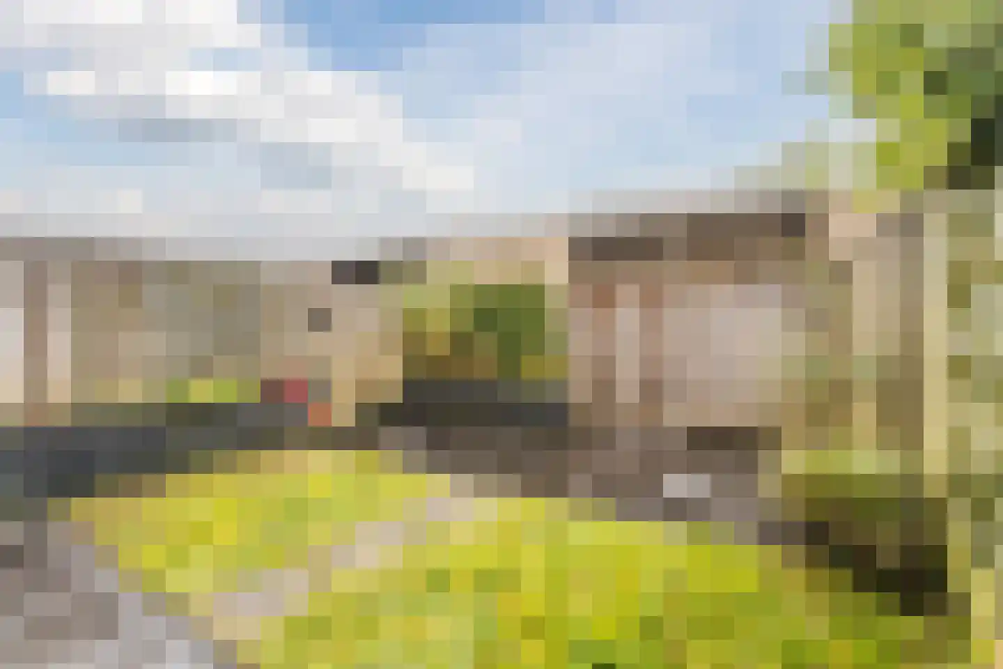 Hondsdraf 74 Swifterbant thumbnail 28