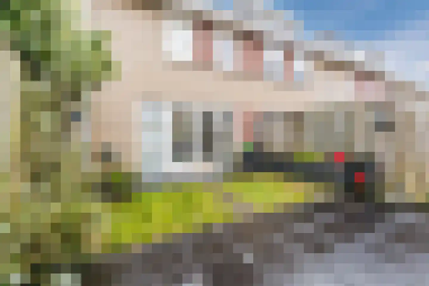 Hondsdraf 74 Swifterbant thumbnail 29