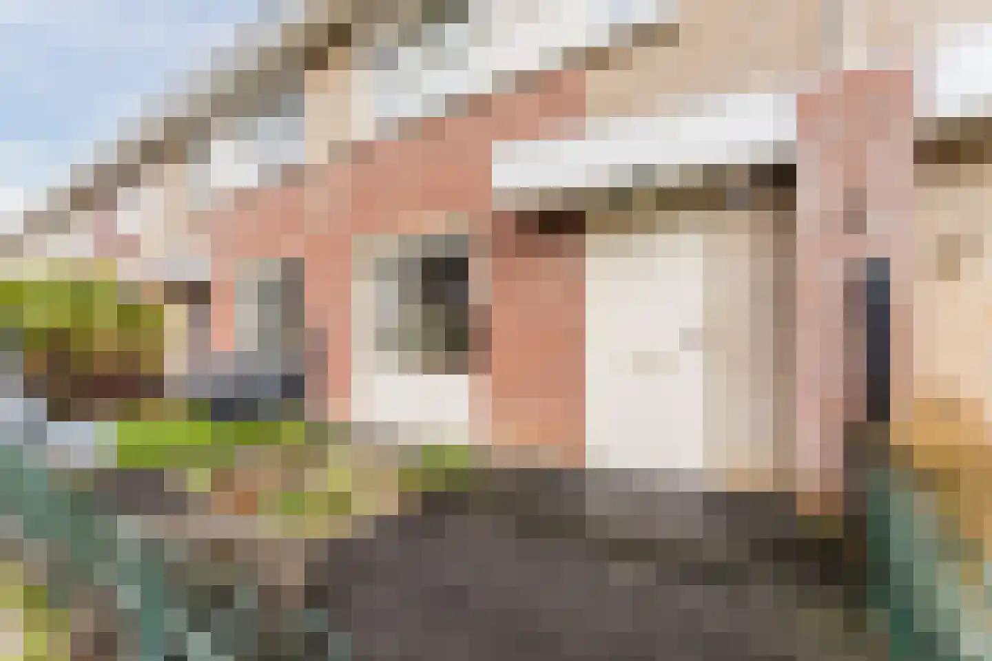 Hondsdraf 74 Swifterbant thumbnail 36