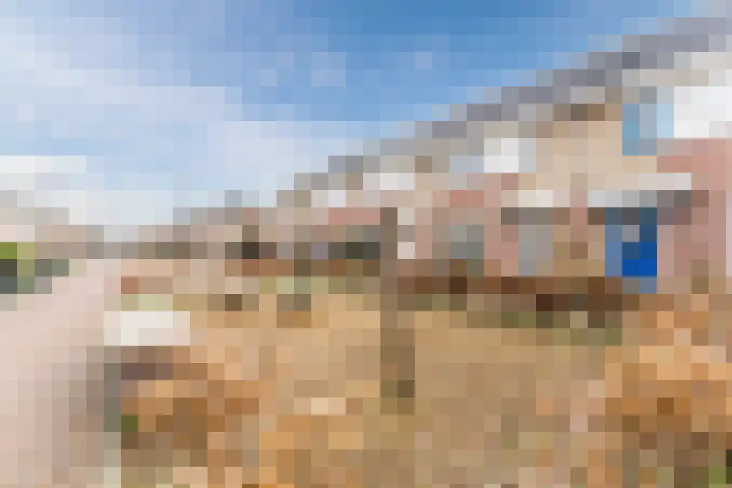 Hondsdraf 74 Swifterbant thumbnail 38