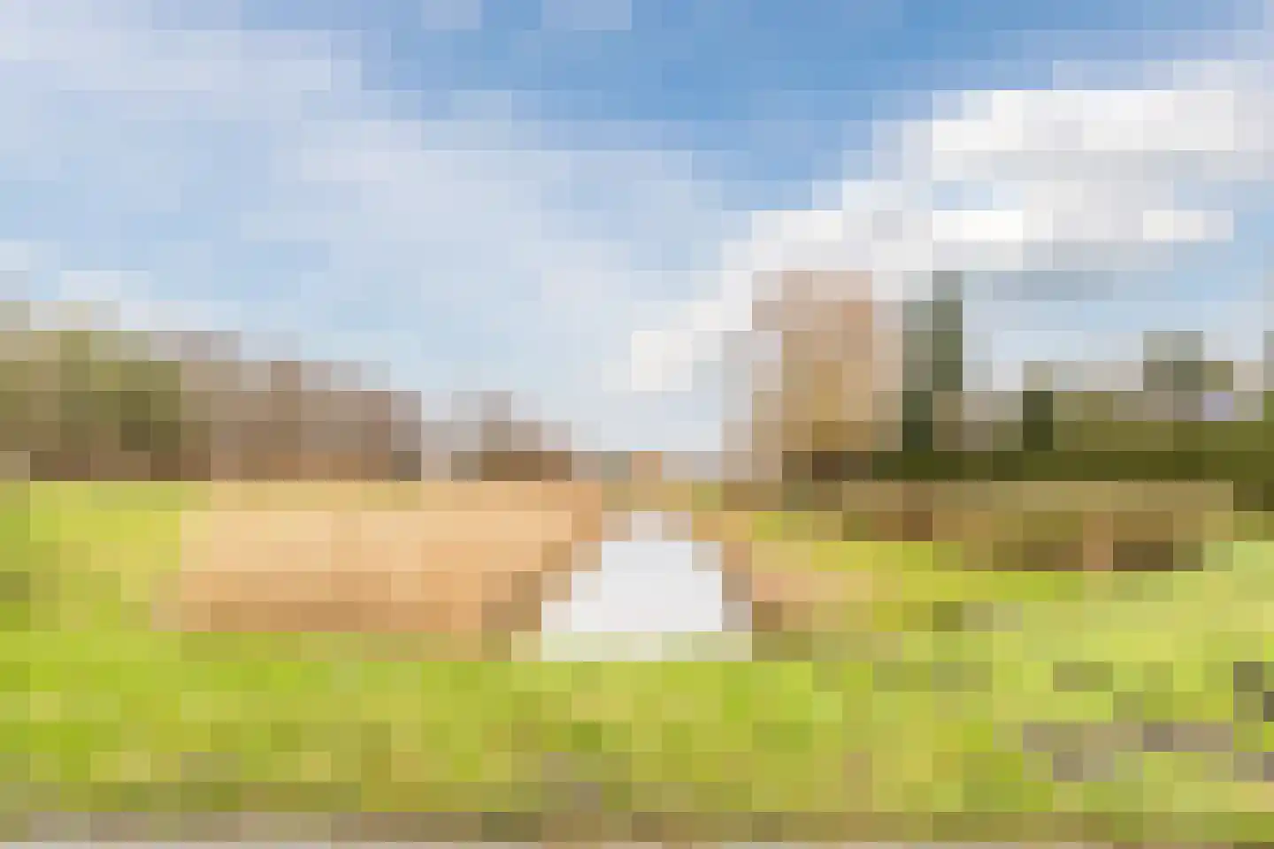 Hondsdraf 74 Swifterbant thumbnail 39