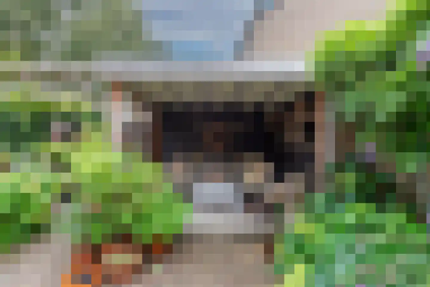 Hondsdraf 8 Leusden thumbnail 20