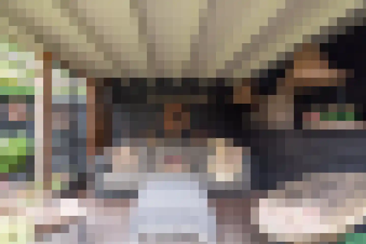 Hondsdraf 8 Leusden thumbnail 21