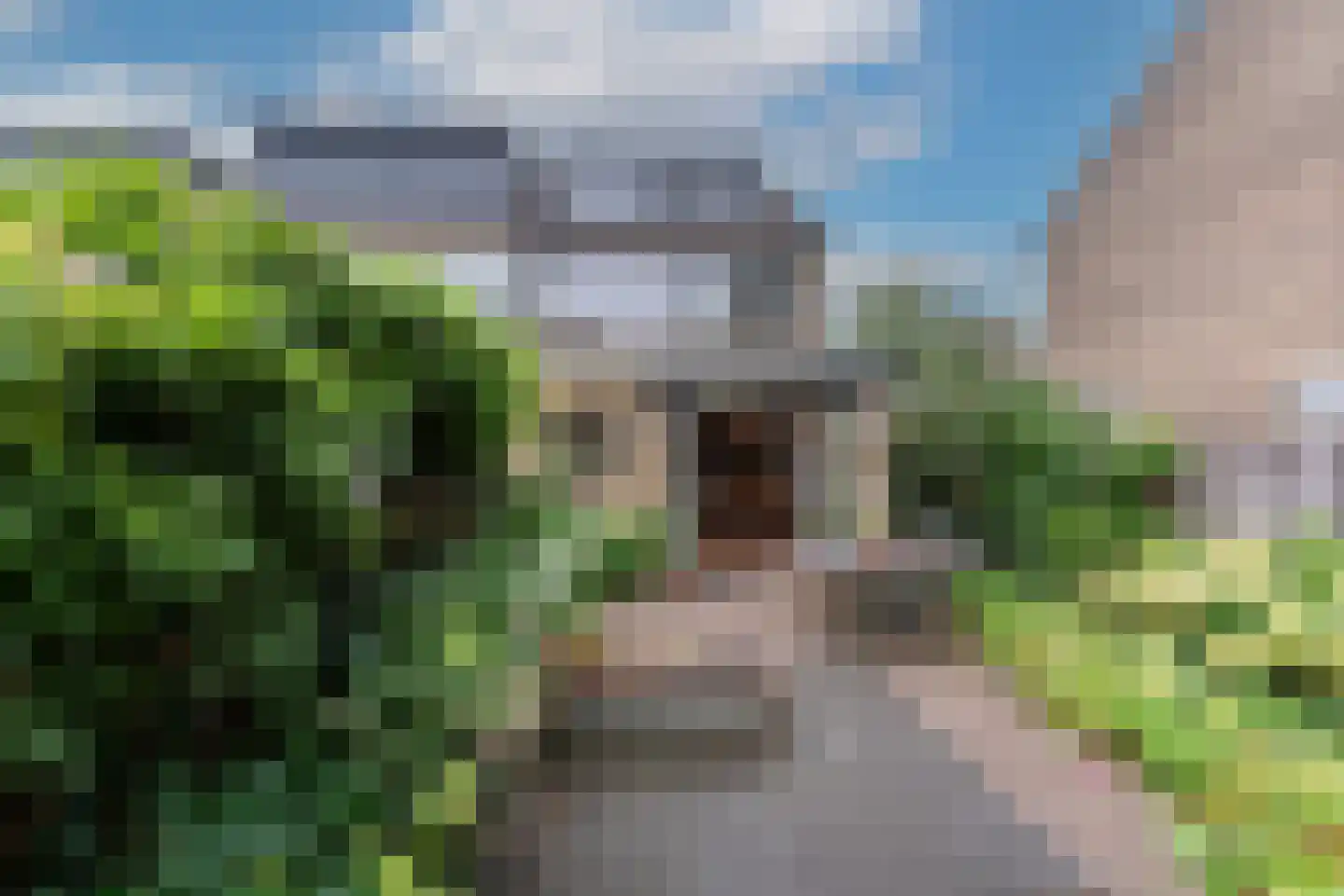 Hondsdraf 8 Leusden thumbnail 22