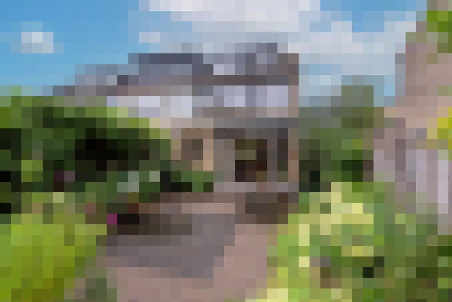 Hondsdraf 8 Leusden thumbnail 23