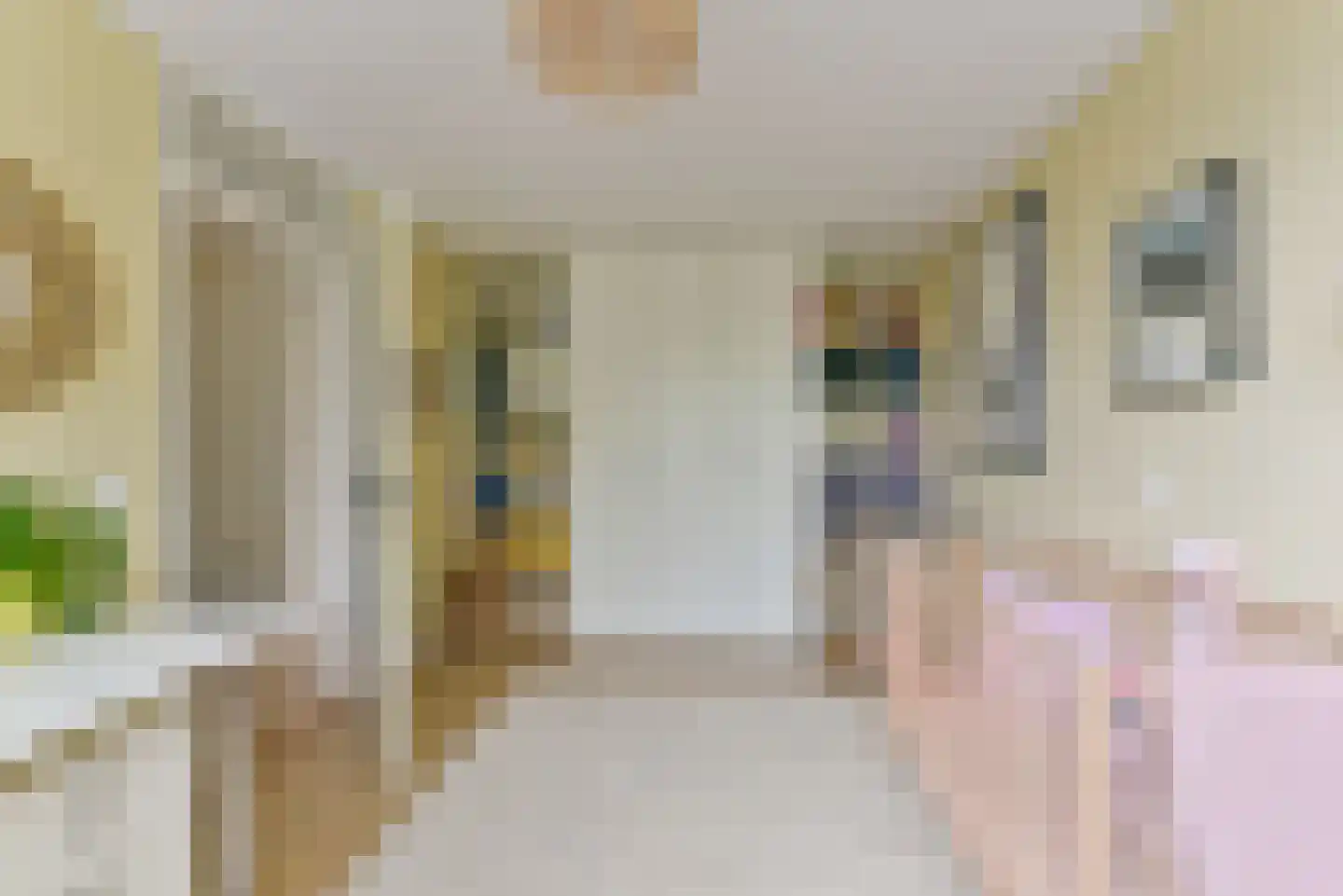 Hondsdraf 8 Leusden thumbnail 31