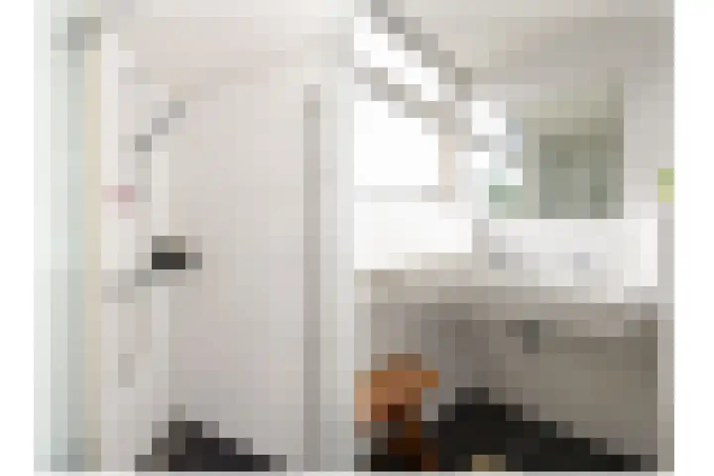Hondsdraf 8 Leusden thumbnail 35