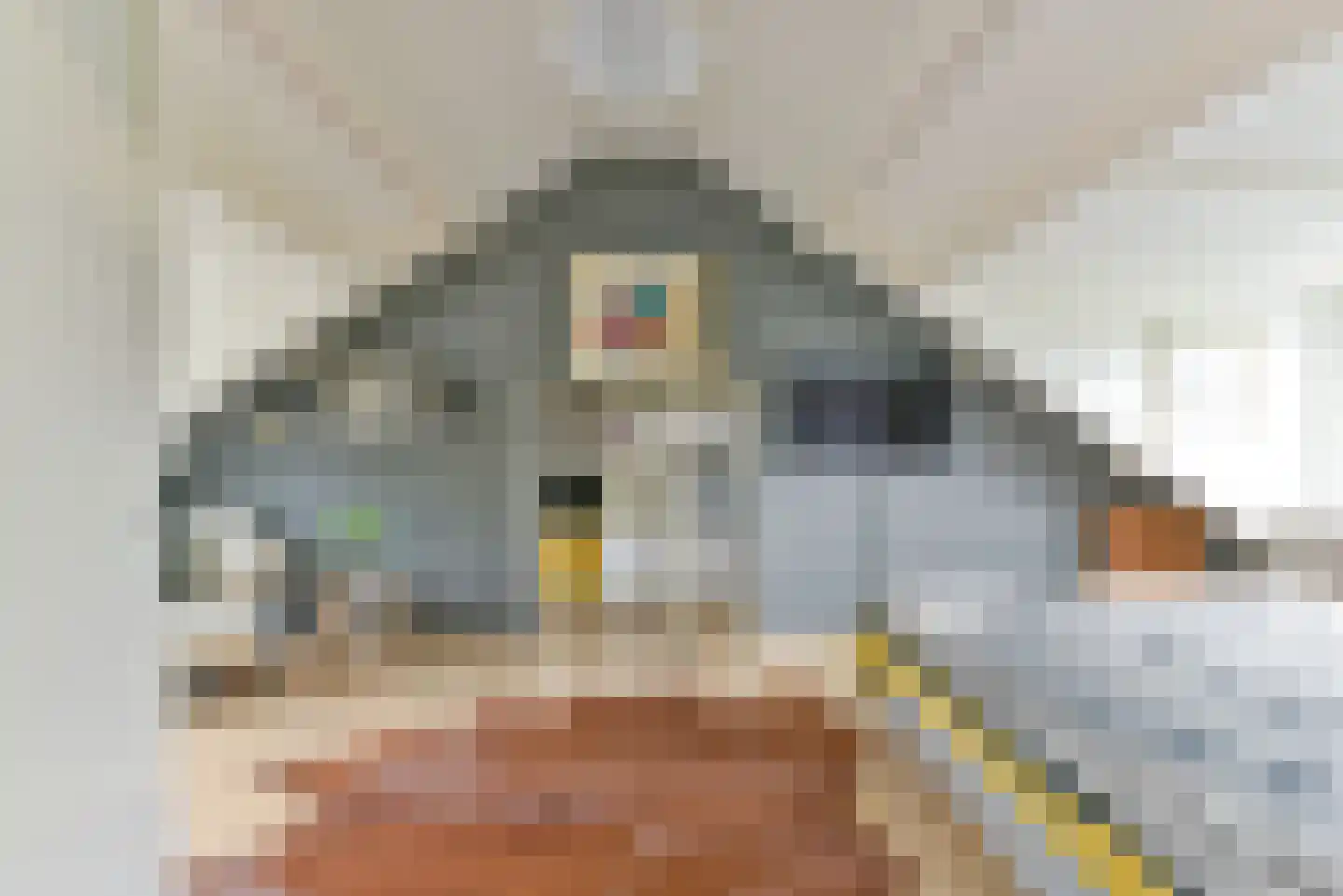Hondsdraf 8 Leusden thumbnail 38