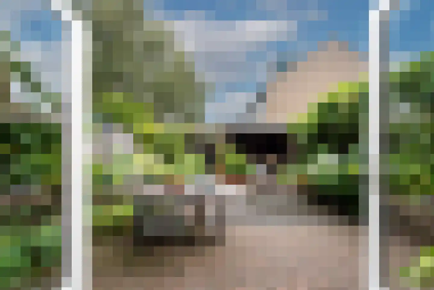 Hondsdraf 8 Leusden thumbnail 4