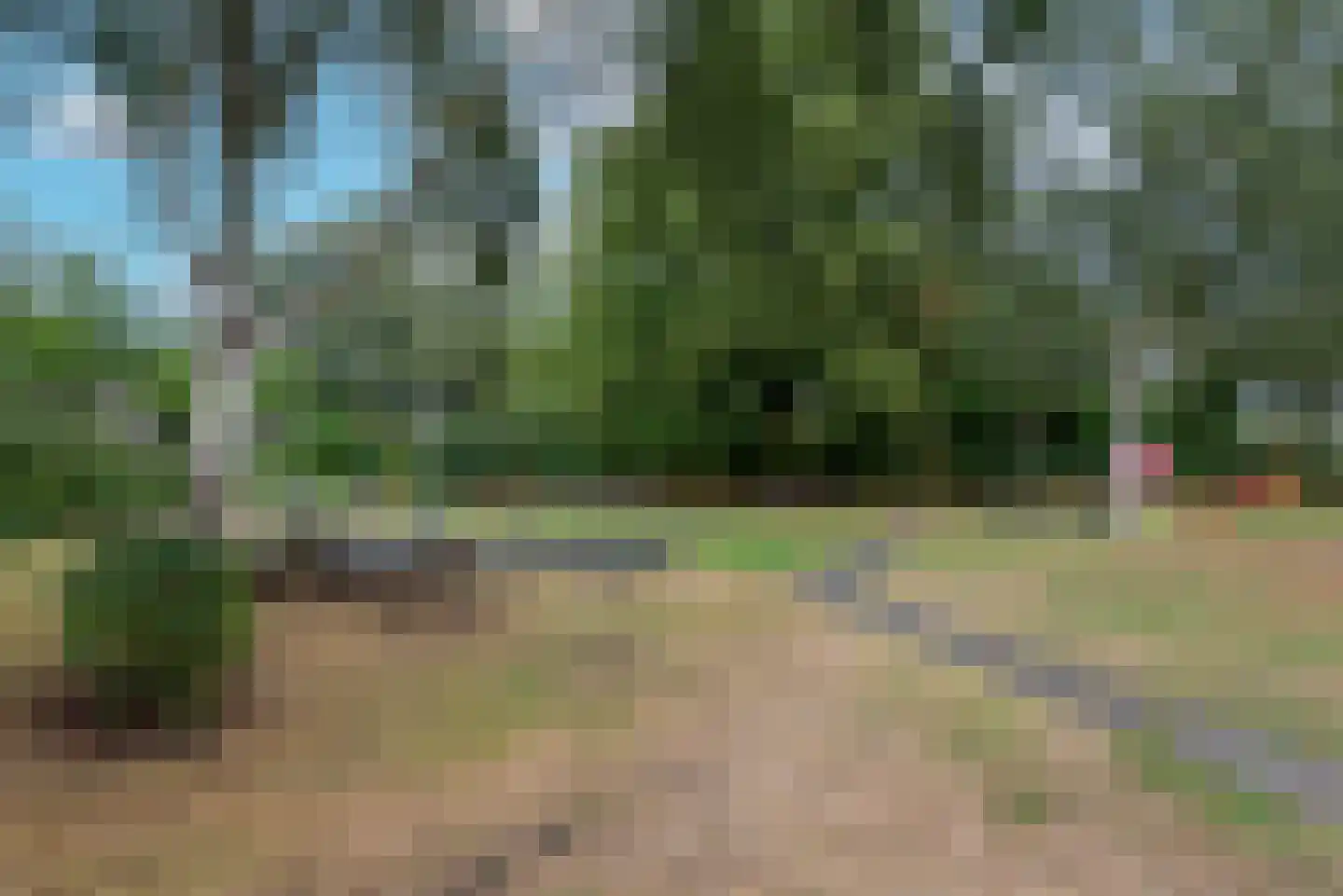 Hondsdraf 8 Leusden thumbnail 41
