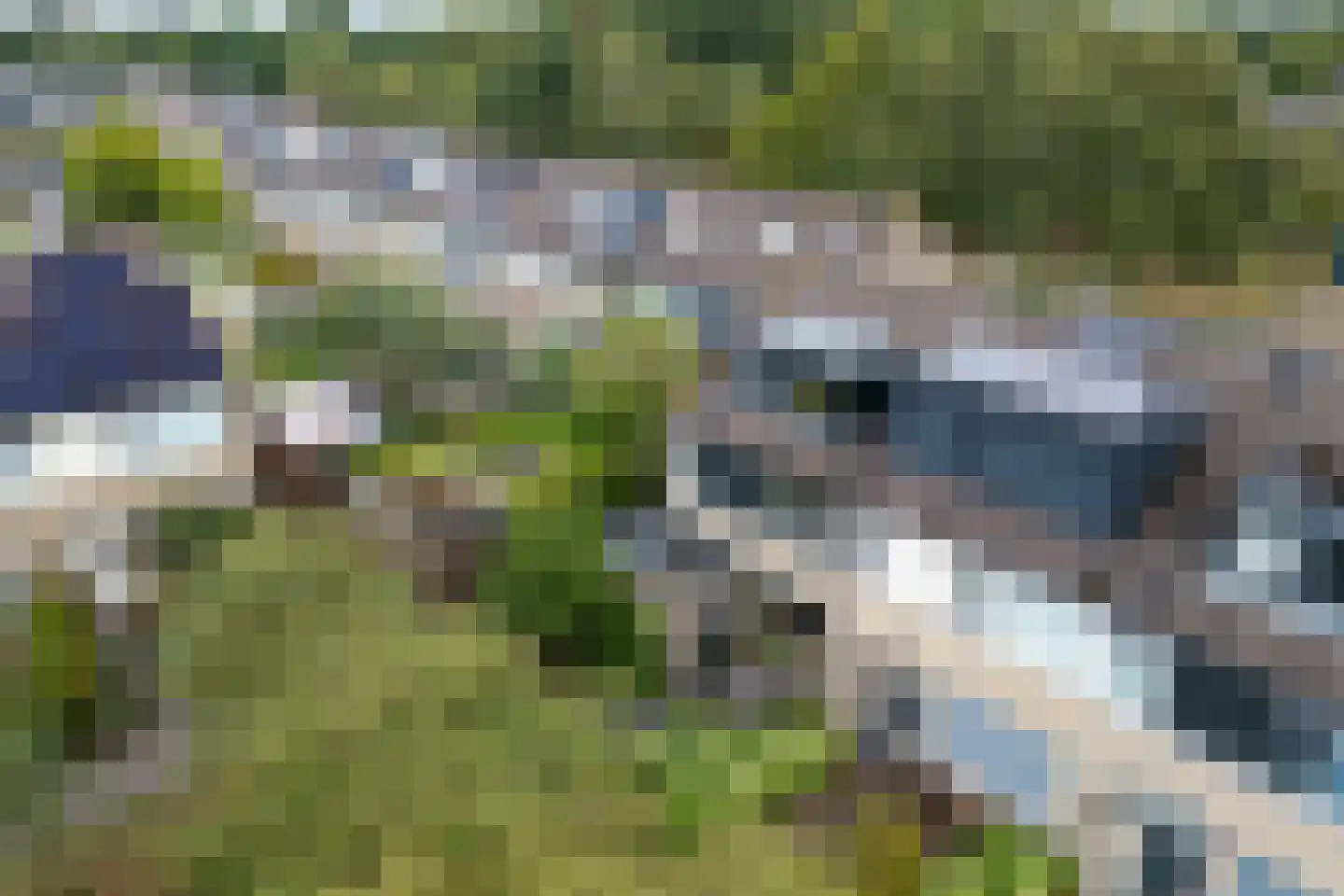 Hondsdraf 8 Leusden thumbnail 43