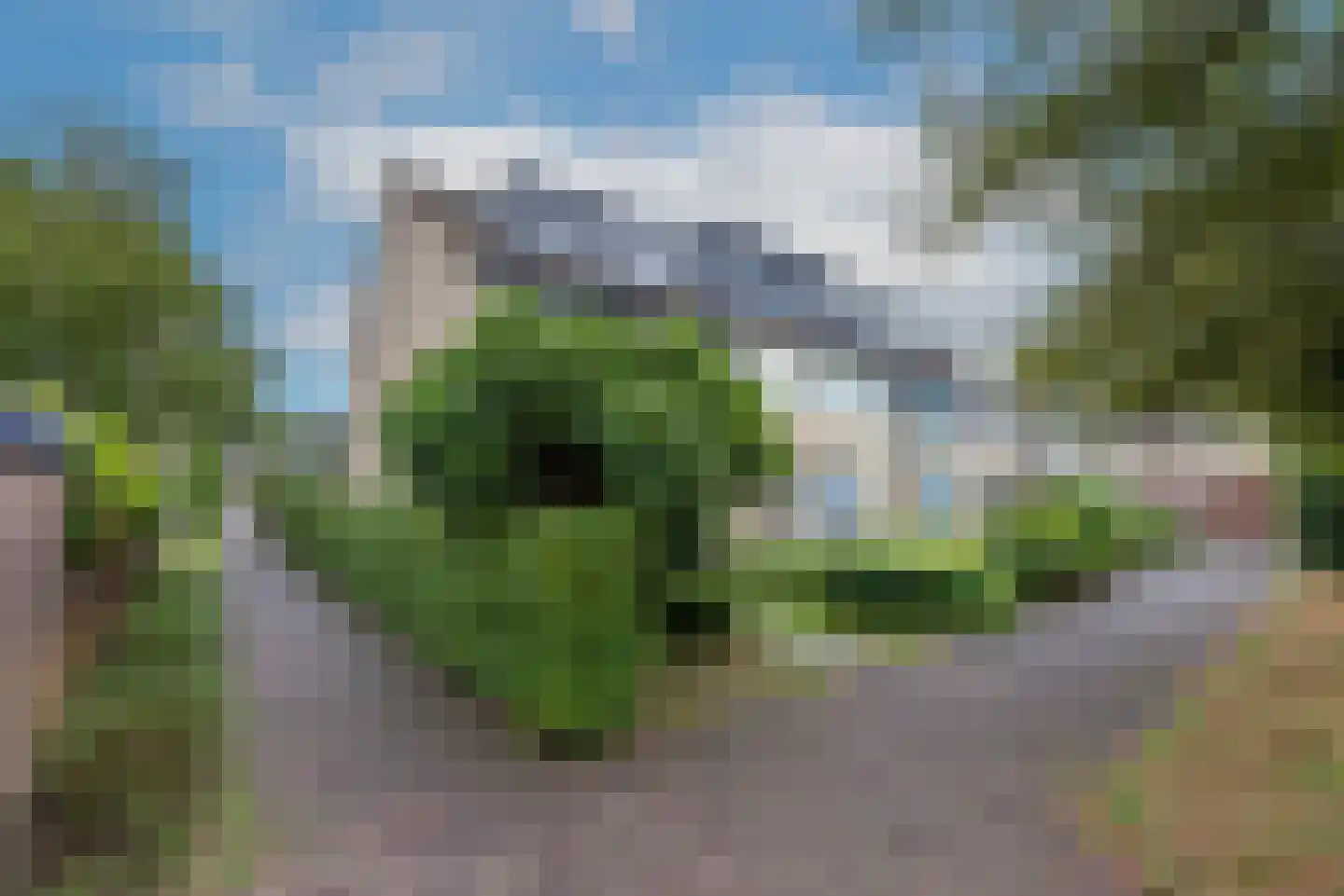 Hondsdraf 8 Leusden thumbnail 49