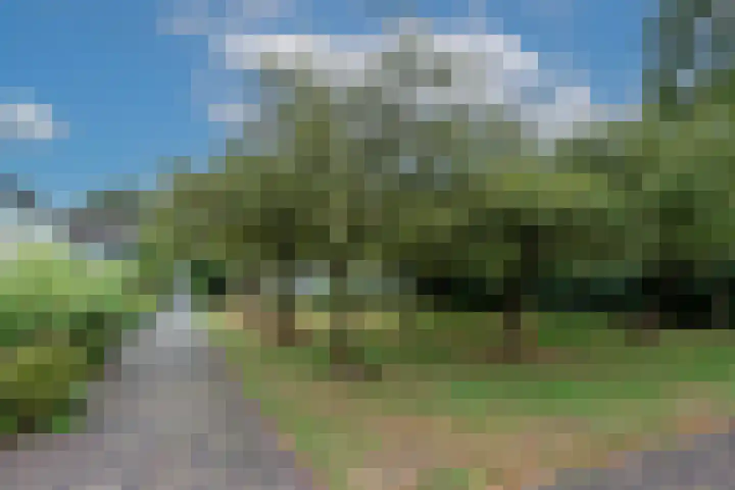 Hondsdraf 8 Leusden thumbnail 50