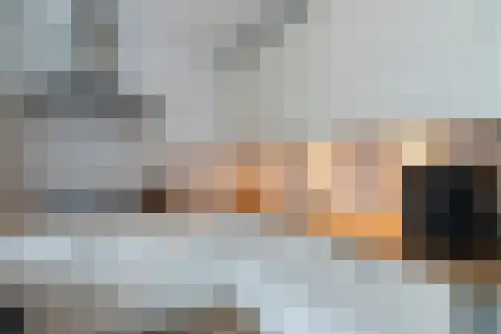 Hondsdraf 9 Alblasserdam thumbnail 10