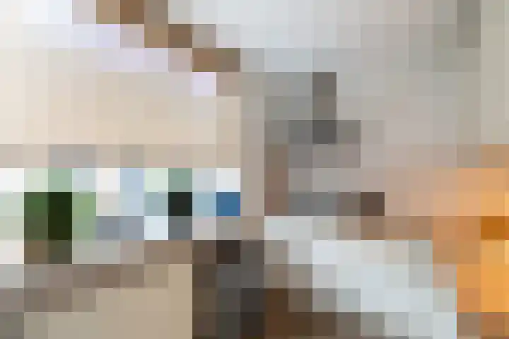 Hondsdraf 9 Alblasserdam thumbnail 11