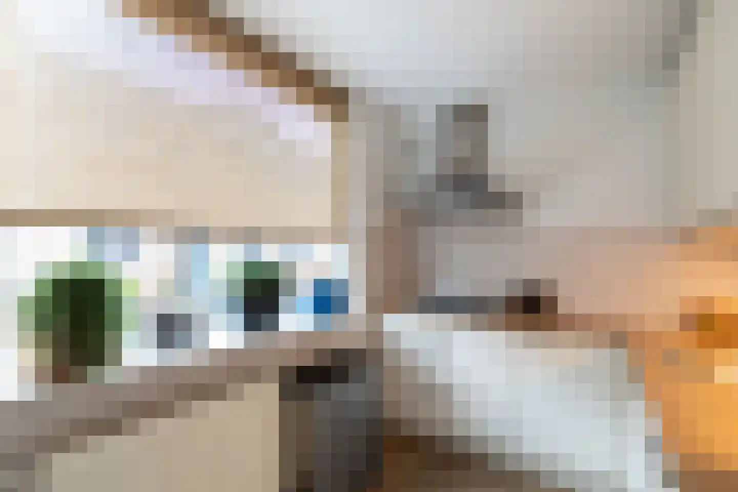 Hondsdraf 9 Alblasserdam thumbnail 11