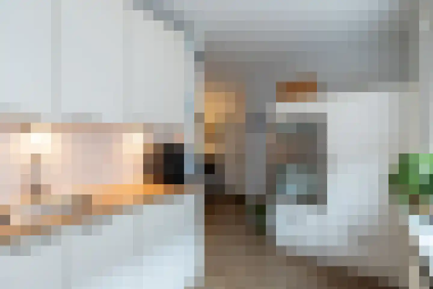 Hondsdraf 9 Alblasserdam thumbnail 12