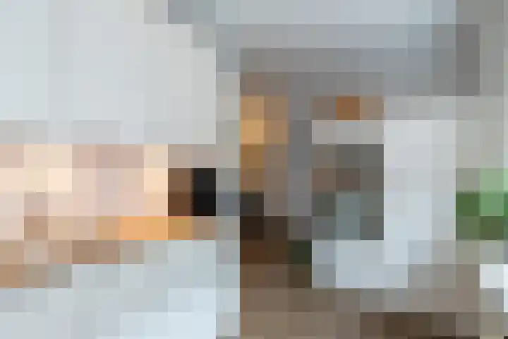 Hondsdraf 9 Alblasserdam thumbnail 12