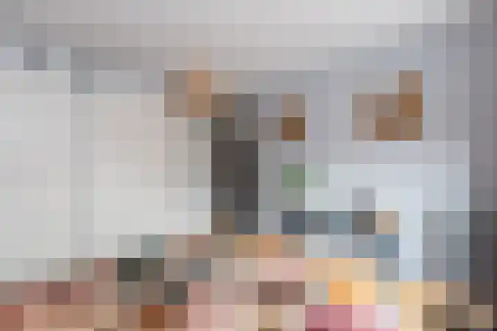 Hondsdraf 9 Alblasserdam thumbnail 14