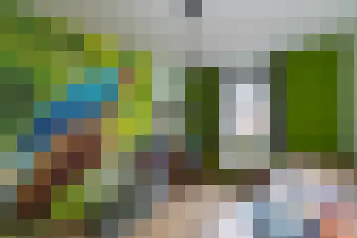 Hondsdraf 9 Alblasserdam thumbnail 15