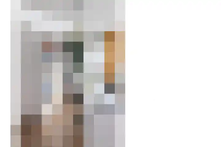 Hondsdraf 9 Alblasserdam thumbnail 16