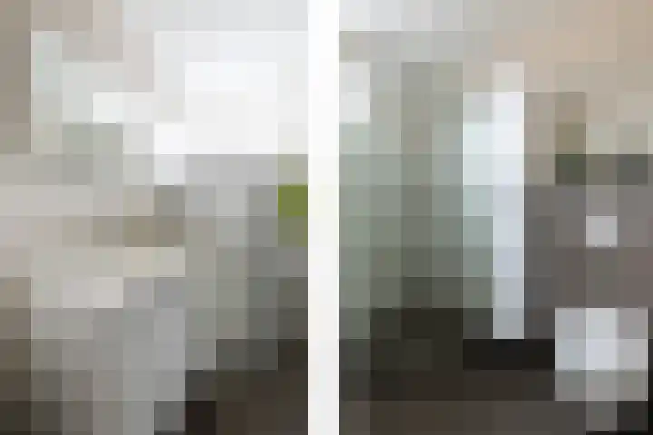 Hondsdraf 9 Alblasserdam thumbnail 17