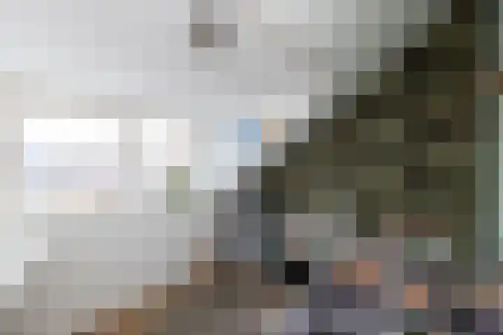 Hondsdraf 9 Alblasserdam thumbnail 20