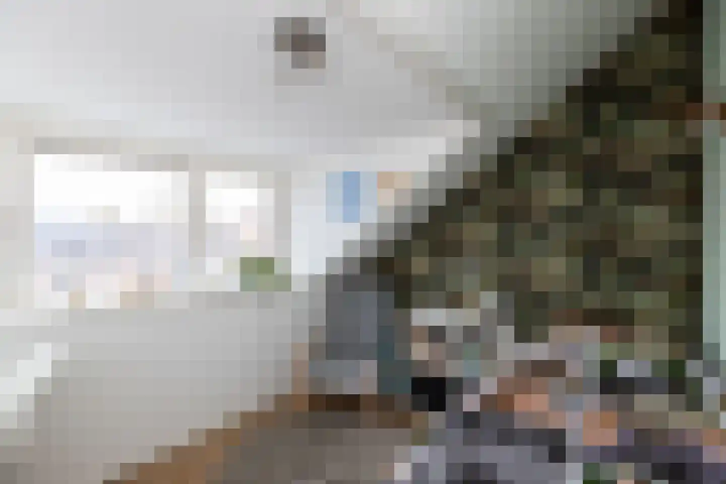 Hondsdraf 9 Alblasserdam thumbnail 20