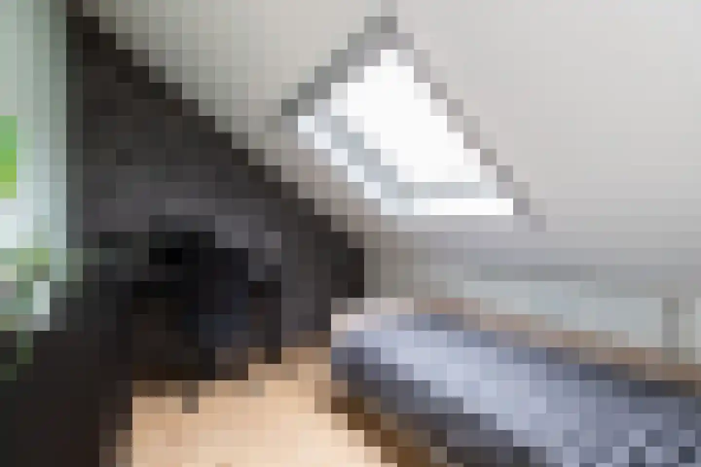 Hondsdraf 9 Alblasserdam thumbnail 22