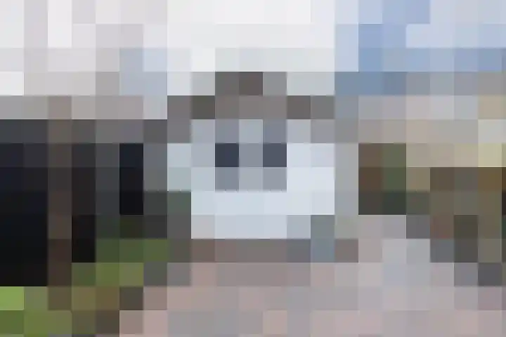 Hondsdraf 9 Alblasserdam thumbnail 26