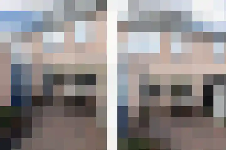 Hondsdraf 9 Alblasserdam thumbnail 27