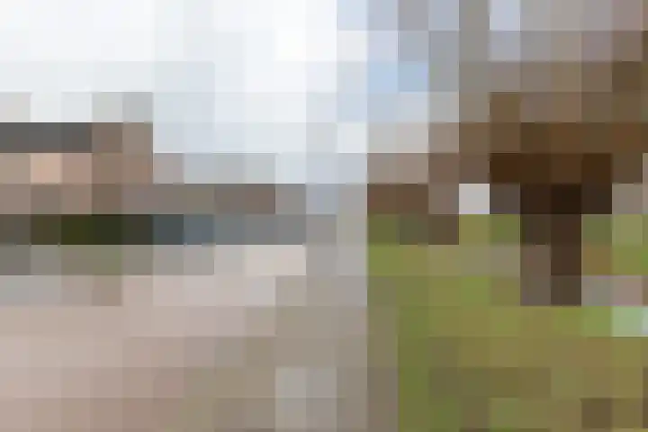 Hondsdraf 9 Alblasserdam thumbnail 28