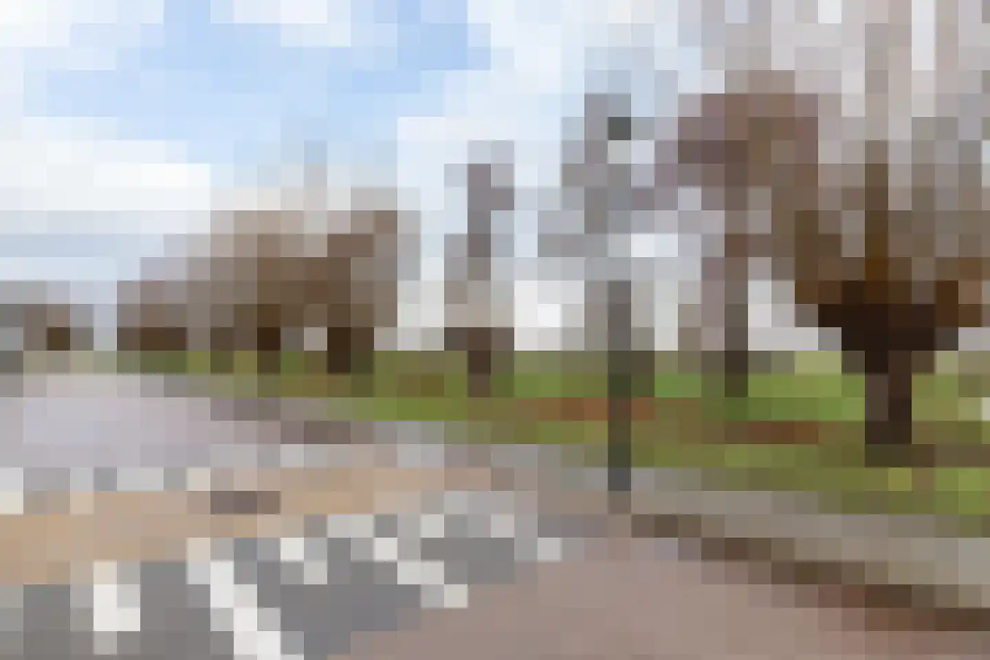 Hondsdraf 9 Alblasserdam thumbnail 29