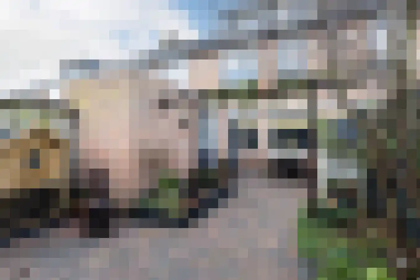 Hondsdraf 9 Alblasserdam foto 3