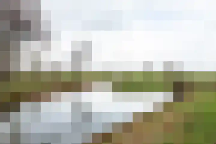 Hondsdraf 9 Alblasserdam thumbnail 30